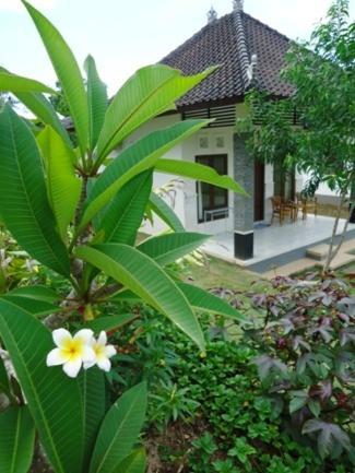 Bingin Family Bungalow Uluwatu Exterior foto